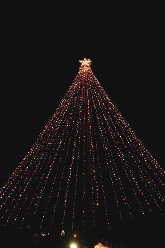 Hildebrand Christmas ScreenSaver/640x480_2005-12-22-26 Trail of Lights.jpg
